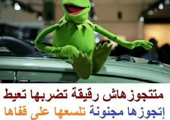 صور مضحكه للضفدع Imagez