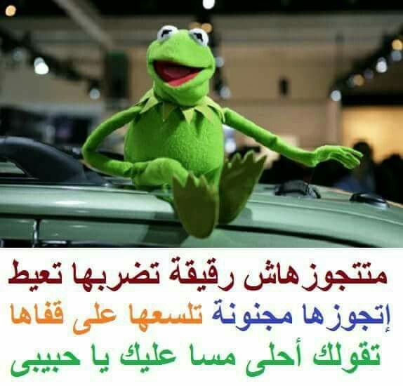 صور مضحكه للضفدع Imagez