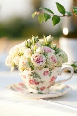 أستراليا سناك انحنى كوب ورد Cedarmantel Com