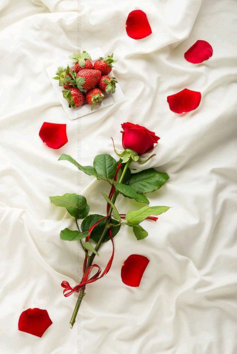 صور ورد صور ازهار جميلة Imagez
