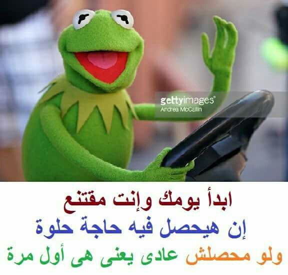 ملصقات الضفدع كيرميت Imagez