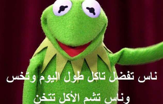 نكت الضفدع كيرميت فيس بوك Imagez