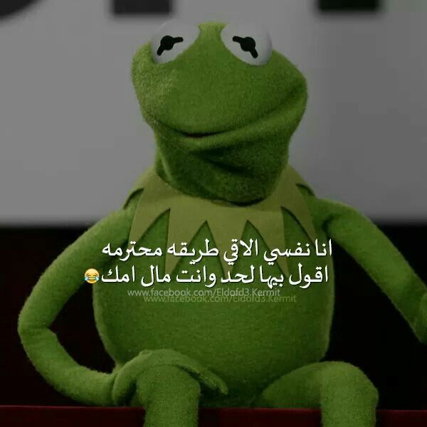 نكت الضفدع كيرميت Imagez