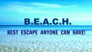 Funny Summer Quotes image 390x220 - Humorous Summer season Quotes picture