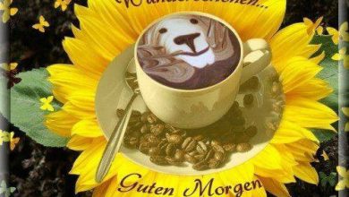 Bilder Guten Morgen