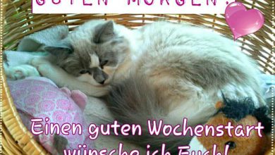 Bilder Guten Morgen Schatz