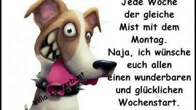 Bilder Von Facebook Guten Morgen Kostenlos