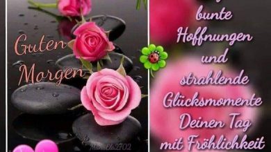 Bilder Von Guten Abend Kostenlos 390x220 - Bilder Von Guten Abend Kostenlos