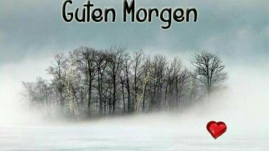 Bilder Von Guten Morgen Bilder Facebook Kostenlos