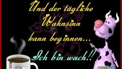 Bilder Von Guten Morgen Bilder Mit Blumen Kostenlos 390x220 - Bilder Von Guten Morgen Bilder Mit Blumen Kostenlos