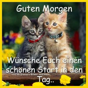 Bilder Von Guten Bilder Mit Tieren Kostenlos Imagez