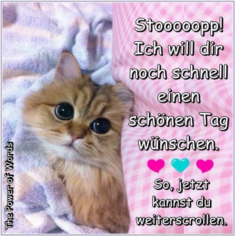 Bilder Von Guten Meine Süße Kostenlos Imagez