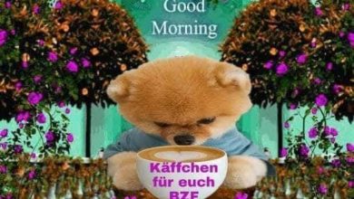 Bilder Von Guten Morgen Sms Mein Schatz Kostenlos