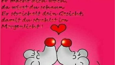 Bilder Von Guten Morgen Spruch Liebe Kostenlos