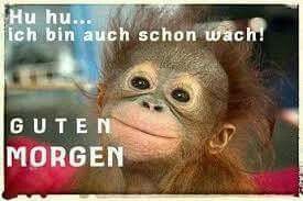 Bilder Von Guten Morgen Spruch Mit Bild Kostenlos