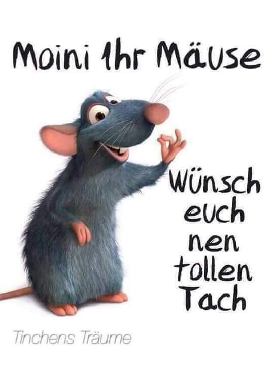 Bilder Von Guten Tag Grüße Kostenlos
