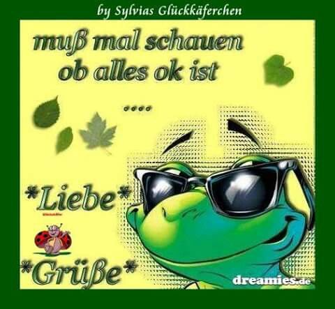 Bilder Von Lieber Morgengruß Kostenlos
