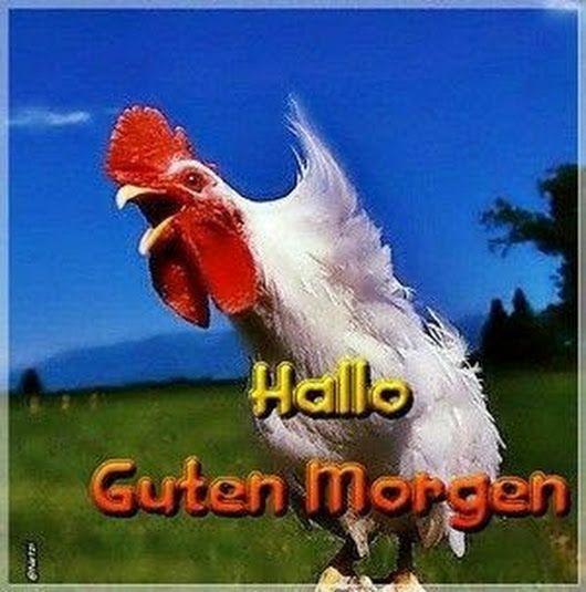 Bilder Von Lustige Guten Morgen Bilder Kostenlos
