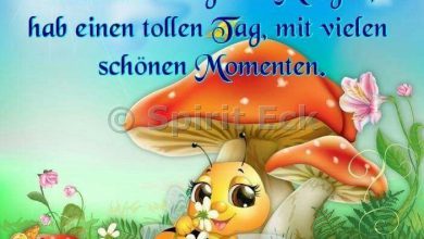 Bilder Von Lustige Guten Morgen Sprüche Bilder Kostenlos