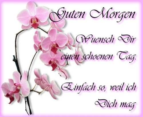 Bilder Von Lustige Guten Tag Sprüche Kostenlos