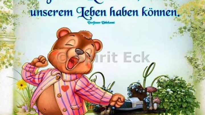 bilder von blöde guten sprüche kostenlos Imagez