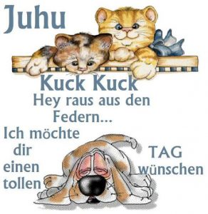 Bilder Von Schöne Sprüche Guten Kostenlos Imagez
