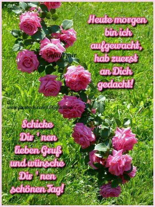 Bilder Von Sprüche Bilder Guten Morgen Kostenlos Bilder Von Sprüche Bilder Guten Morgen Kostenlos - Bilder Von Sprüche Bilder Guten Morgen Kostenlos