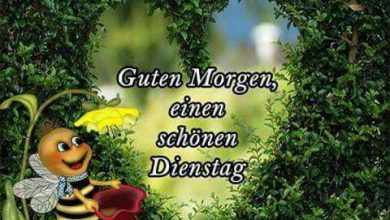 Bilder Von Whatsapp Guten Morgen Kostenlos