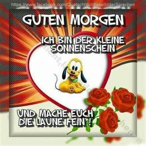 Bilder Von Witzige Guten Sprüche Mit Bilder Kostenlos Imagez