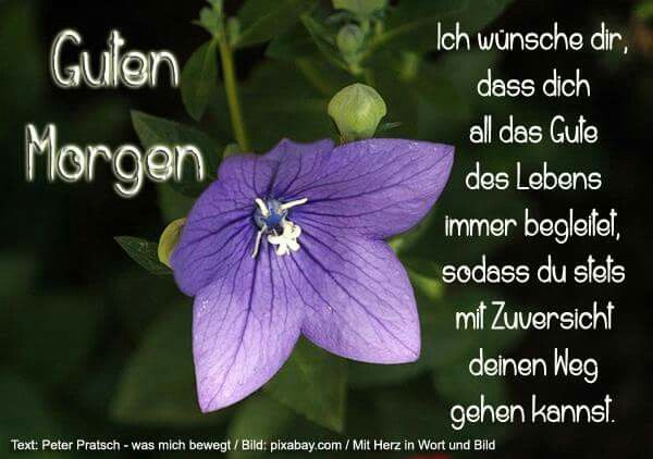 Ein Schönen Guten Spruch Imagez