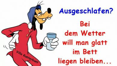 Einen Lieben Guten Morgen Gruß