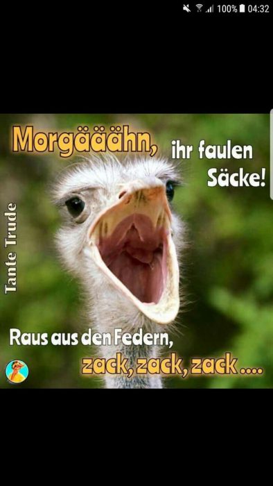 Einen Wunderschönen Guten Morgen Wünsche Ich Dir