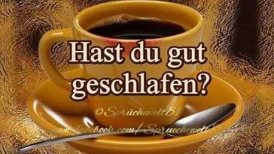 Französisch Guten Tag 390x220 - Französisch Guten Tag