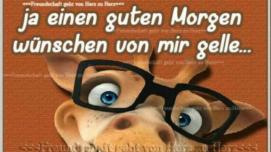 Gbpicsonline Guten Morgen