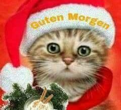 Gif Guten Abend