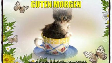 Guten Guten Morgen Sonnenschein