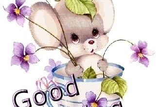 Guten Morgen Animation 323x220 - Guten Morgen Animation