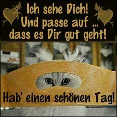Guten Morgen Antwort