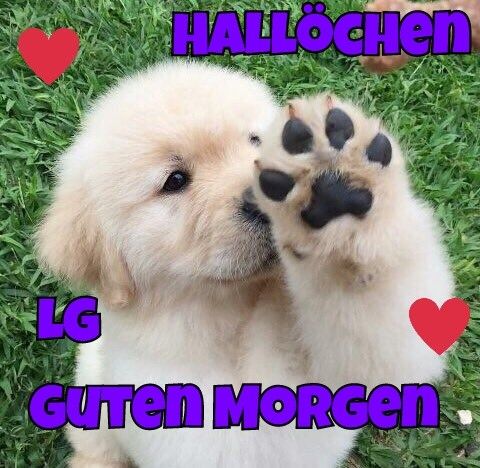 Guten Morgen Begrüßung Guten Morgen Begrüßung - Guten Morgen Begrüßung