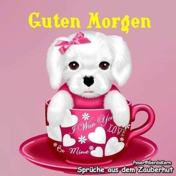 Guten Morgen Bilder Für Whatsapp