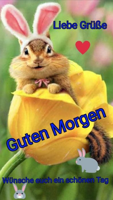 Guten Morgen Bilder Gratis