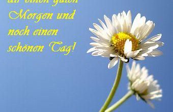 Guten Morgen Bilder Mit Spruch