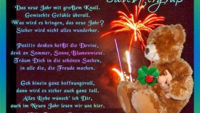 Neues Jahr Lustig 390x220 - Neues Jahr Lustig
