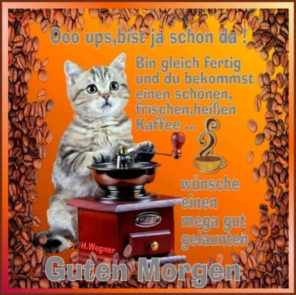 bilder von guten morguen kostenlos