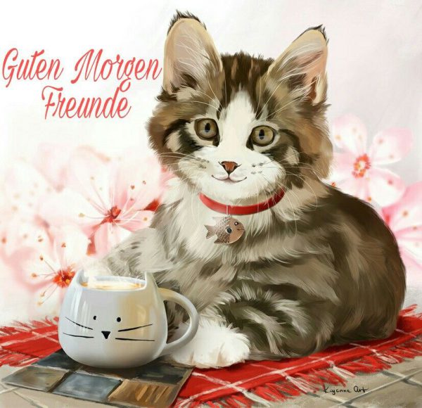 bilder von guten tag meine liebe kostenlos