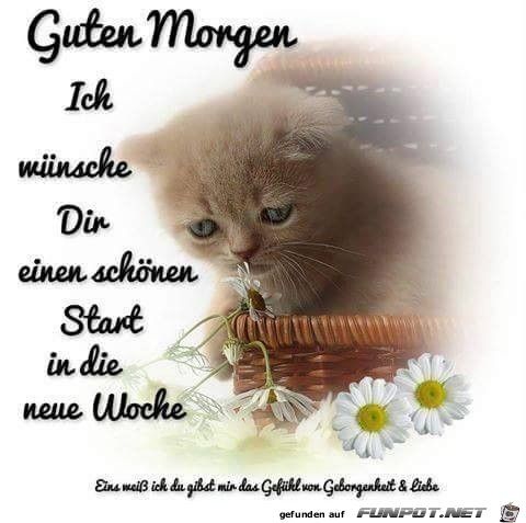 bilder von lied guten morgen guten morgen kostenlos