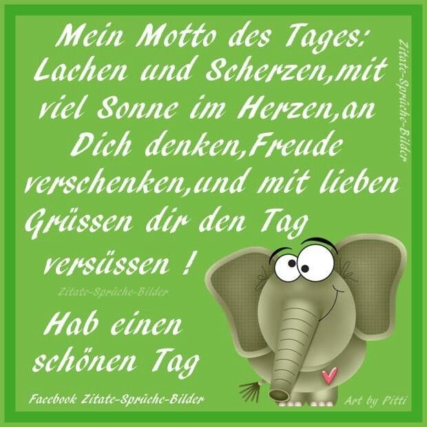bilder von lustige bilder zu guten morgen kostenlos