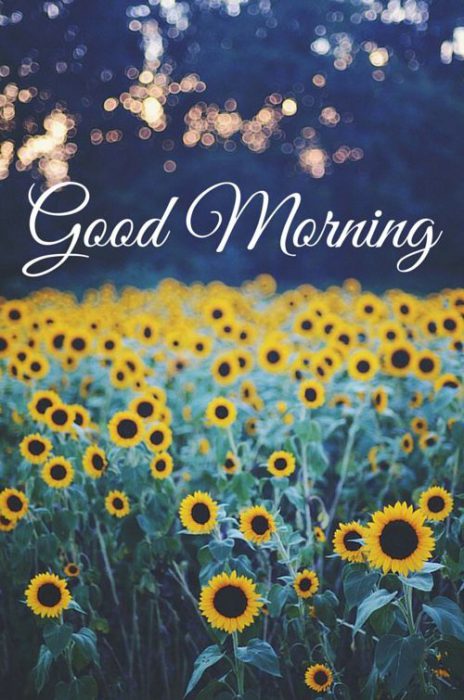 bilder von slowenisch guten morgen kostenlos