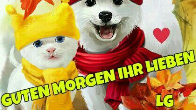 bilder von spruch guter tag kostenlos