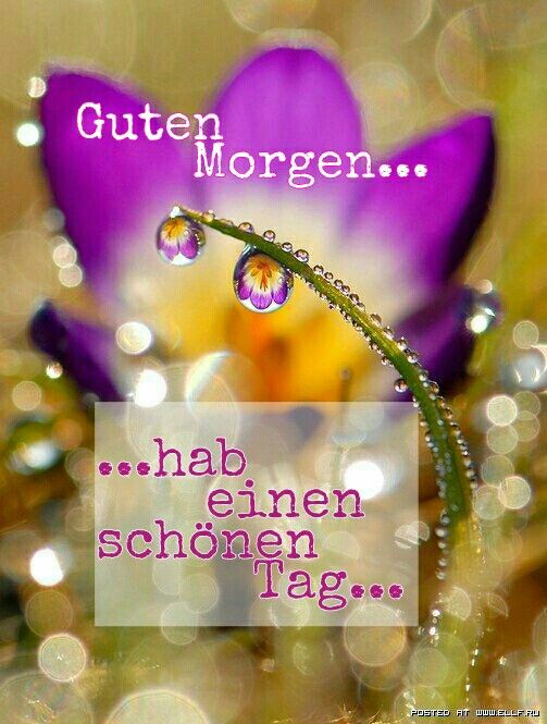 einen wunderschönen guten morgen bilder einen wunderschönen guten morgen bilder - einen wunderschönen guten morgen bilder